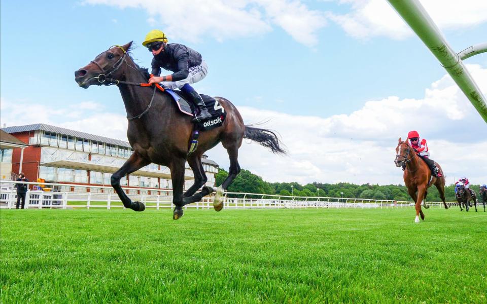 English King, ridden by Tom Marquand, wins the Betsafe Derby Trial Stakes at Lingfield - PA