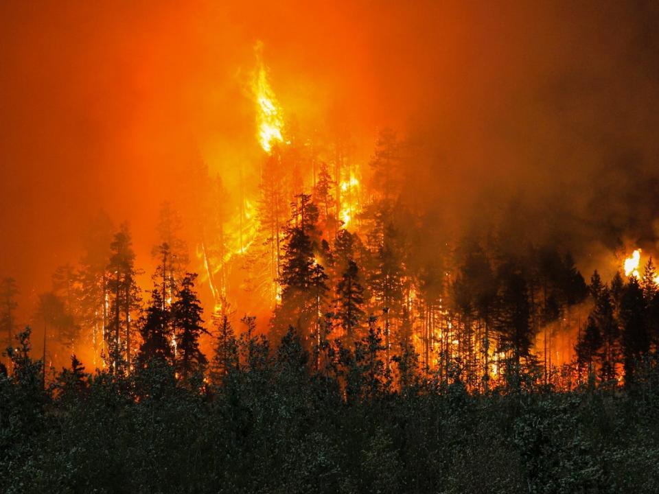 Widespread "increases in extreme heat” due to climate change could bring unprecedented risks to the US in coming decades, a new study has warned. By 2050, hundreds of American cities could experience an entire month each year with US "heat index" temperatures above 100F (38C) if nothing is done to tackle emissions and the resultant climate crisis, scientists said. In the US, the National Weather Service heat index scale starts topping out above temperatures of 127F (52C), depending on the combination of temperature and humidity.Few places would be unaffected by extreme heat conditions by 2050 and only a few mountainous regions would remain extreme heat refuges by the century’s end, the team from the Union of Concerned Scientists said.They said this failure to reduce emissions could set the country on a path to soaring temperatures including conditions so far in excess of current climate trends they will surpass the heat index.This is a measure of how hot it feels when humidity is factored in with the air temperature, providing a number on a coloured scale, starting with 80F (26C) which is yellow – caution, and rising through dark yellow beginning at 91F (33C) – extreme caution, orange at 103F (39.5C) – danger, and up to red beginning at 126F (52C) – extreme danger.The average number of days per year nationwide with a heat index above 105 degrees Fahrenheit would more than quadruple to 24 by mid-century and increase eight-fold to 40 by late century, the analysis, published in the journal Environmental Research Communications, revealed.Such “off-the-charts” conditions could pose unprecedented health risks, the Union of Concerned Scientists said.“Our analysis shows a hotter future that’s hard to imagine today,” the study's co-author Kristina Dahl, a climate scientist at the Union of Concerned Scientists, told the USA Today newspaper. “Nearly everywhere, people will experience more days of dangerous heat in the next few decades.” The work is the first study to examine the impacts of climate change on the heat index – instead of just temperature – when calculating the impacts of warming, Dr Dahl said.“We have little to no experience with ‘off-the-charts’ heat in the US,” said Erika Spanger-Siegfried, co-author of the report and lead climate analyst at the Union of Concerned Scientists.“These conditions occur at or above a heat index of 127 degrees, depending on temperature and humidity. Exposure to conditions in that range makes it difficult for human bodies to cool themselves and could be deadly,” she added.