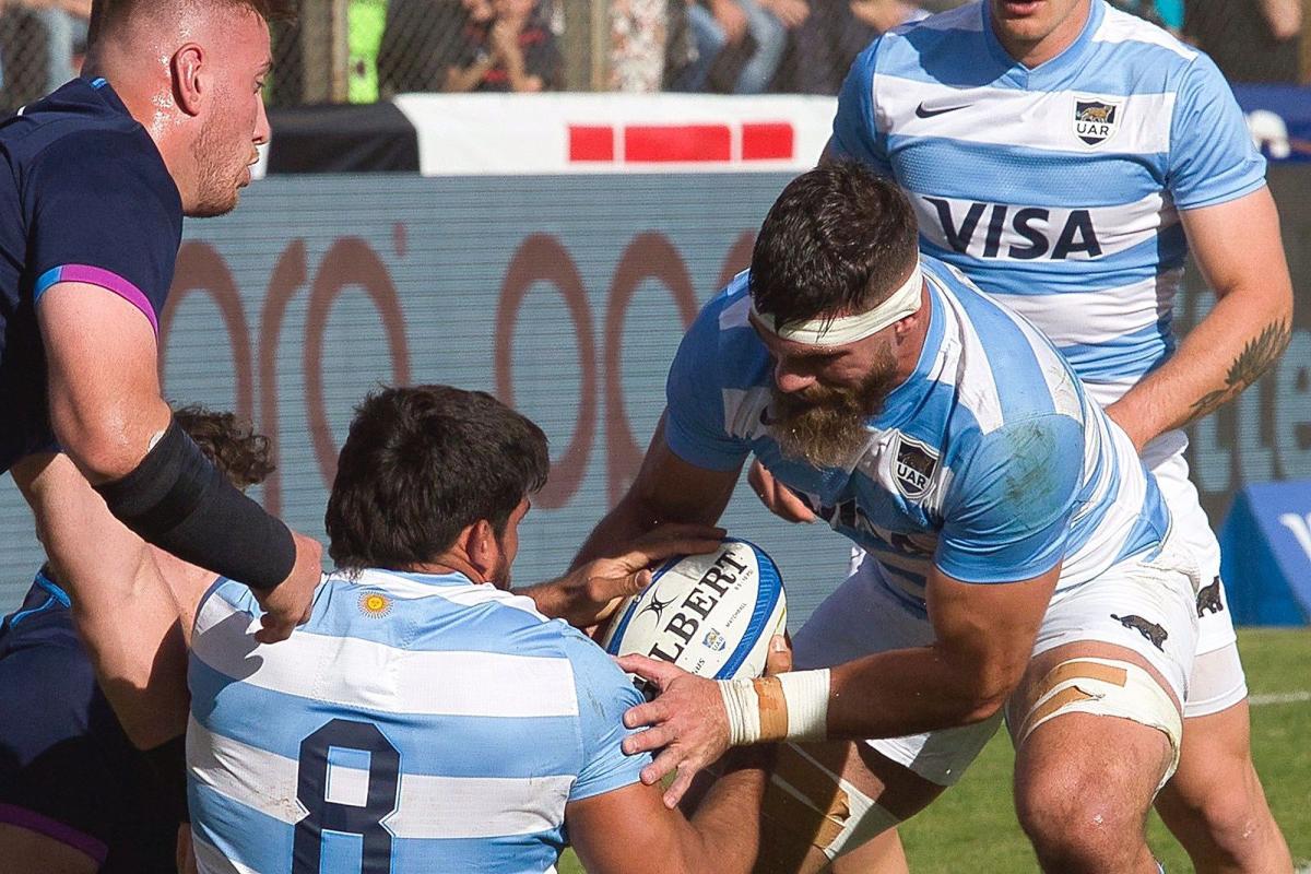 Los Pumas vs. All Blacks todo lo que hay que saber sobre el partido