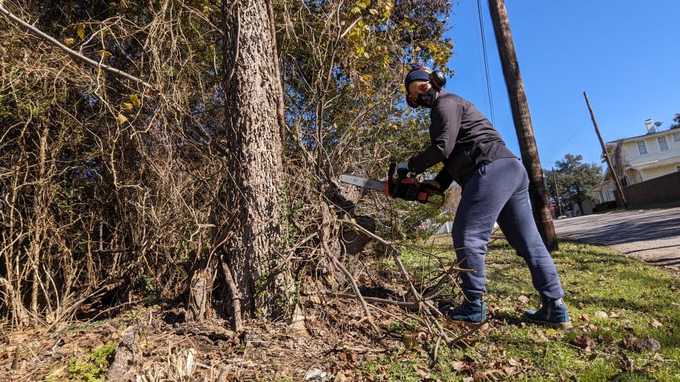 Using the BLACK + DECKER 40V MAX 12-inch Cordless Chainsaw to cut short limbs from a tree