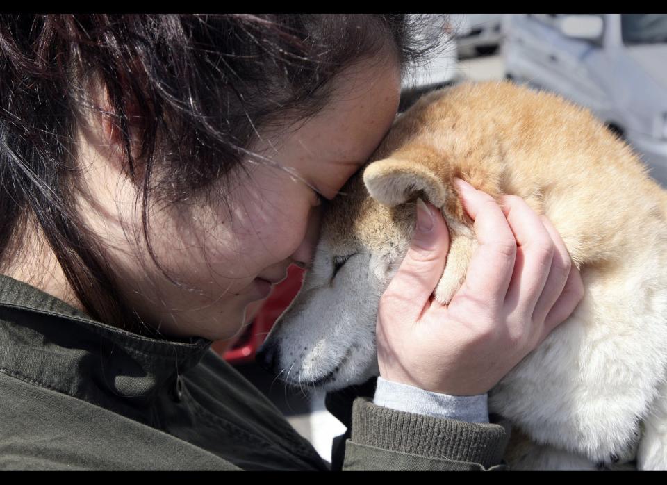 17-year-old evacuee Shoko Igarashi, hugs her dog who will have to be looked after by friends while she goes into a shelter in Koriyama in Fukushima prefecture, 60km west of Fukushima nuclear power plant on March 23, 2011.    (Photo credit GO TAKAYAMA/AFP/Getty Images)