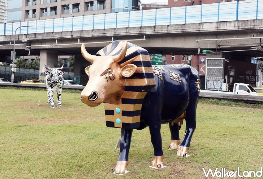 The pop-up exhibition is scheduled between April 27 and April 29, where a total of 15 cows will be showcased on the grassy fields at Huashan. (Photo courtesy of Taipei Walker)