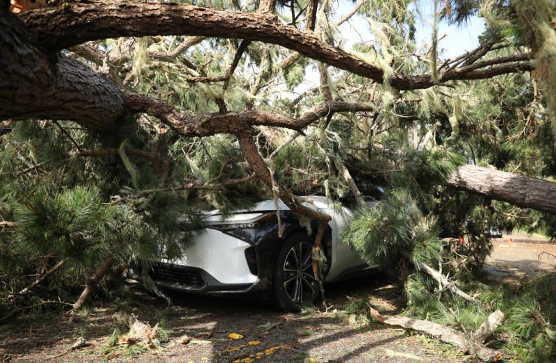A tree crushed a car Sunday during what should have been the final round of the AT&T Pebble Beach Pro-Am golf tournament at the Pebble Beach Golf Links in Pebble Beach, Calif. Due to safety concerns caused by high winds and rain, the final round was postponed until Monday. Photo by Michael Fiala/EPA-EFE/