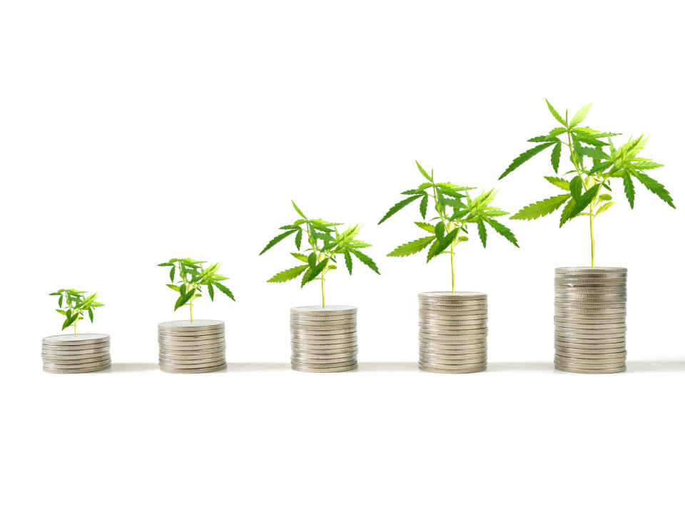 Five increasingly higher stacks of coins with cannabis plants on top of each stack