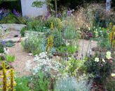 <p> Lots of different varieties of flowers grow really well in gravel gardens especially those that are tolerant of dry conditions and ones with gray, blueish or silver foliage. The gravel mulch not only improves surface drainage but also helps retain water deep in the soil to prevent evaporation from the surface.&#xA0; </p> <p> Plant large areas with a mix of flowers and gravel and they won&apos;t need any watering in summer which makes this approach suitable for Mediterranean-style gardens with minimal maintenance. Leave gravel pathways where the plants are less dense, so it&#x2019;s possible to walk through the plants and enjoy them up close. </p> <p> Some of our favorite varieties for landscaping with flowers in a garden design like this include alliums, euphorbia, lavender, santolina and salvias, although there are literally hundreds of plants to choose from that will work well. </p>