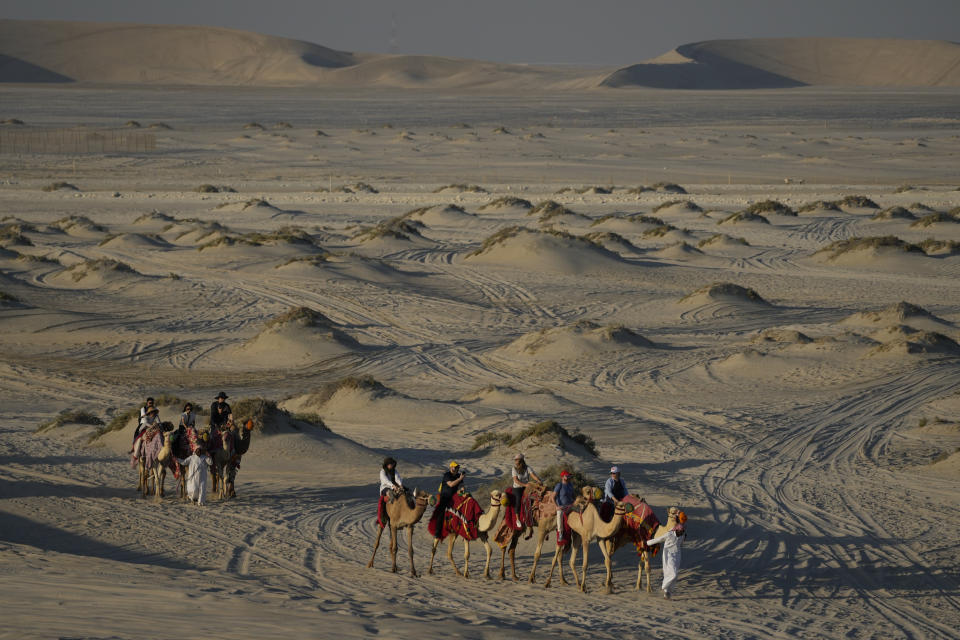 People ride camels in Mesaieed, Qatar, Nov. 26, 2022. Throngs of World Cup fans in Qatar looking for something to do between games are leaving Doha for a classic Gulf tourist experience: riding a camel in the desert. But the sudden rise in tourists is putting pressure on the animals, who have almost no time to rest between each ride. (AP Photo/Ashley Landis)