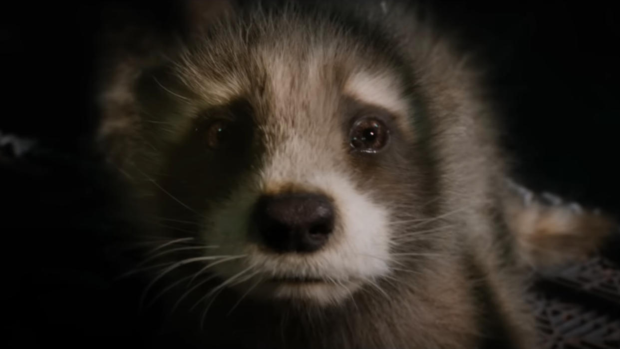  Baby Rocket looking very concerned in his cage in Guardians of the Galaxy Vol. 3. 