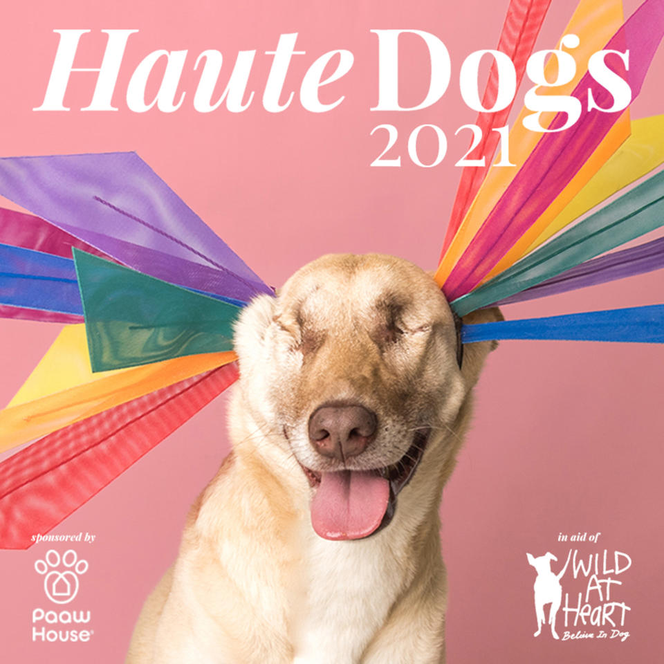 <p>When Awon Golding, milliner to the stars (and Meghan Markle!) wanted to raise money to help pooches in need, she created the Haute Dogs calendar. Now in its third year, the 2021 edition features adorable rescue dogs wearing couture hats (in miniature!) by royal milliners Philip Treacy and Stephen Jones. </p> <p><strong>Buy it! Haute Dogs 2021 Calendar, $20; <a href="https://wildatheartfoundation.org/shop/haute-dogs-2021-calendar/" rel="sponsored noopener" target="_blank" data-ylk="slk:wildatheartfoundation.org;elm:context_link;itc:0;sec:content-canvas" class="link ">wildatheartfoundation.org</a></strong></p>