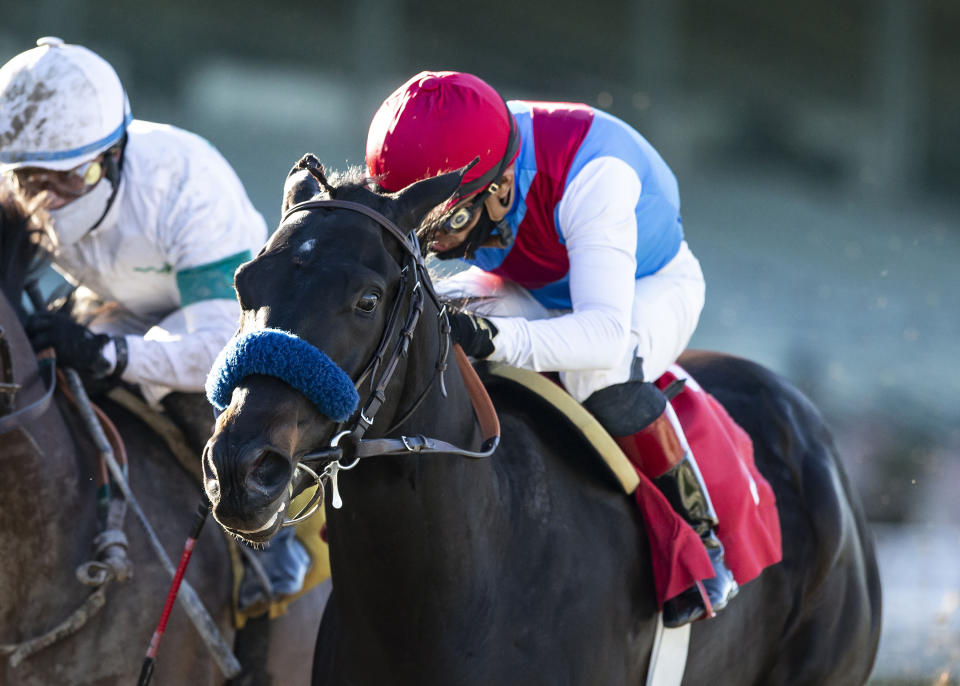 In this image provided by Benoit Photo, Medina Spirit, with Abel Cedillo aboard, wins the Grade III, $100,000 Robert B. Lewis Stakes horse race Saturday, Jan. 30, 2021, at Santa Anita Park in Arcadia, Calif. CA. (Benoit Photo via AP)