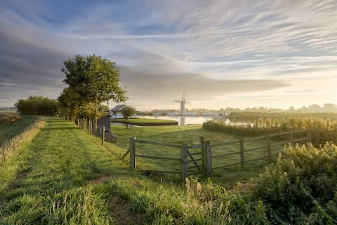 A classic Broads landscape - Credit: GETTY