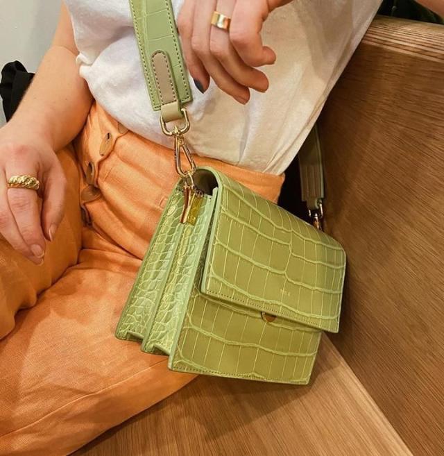 JW PEI Mini Flap Bag  Bags, Fashion, Earth tones fashion