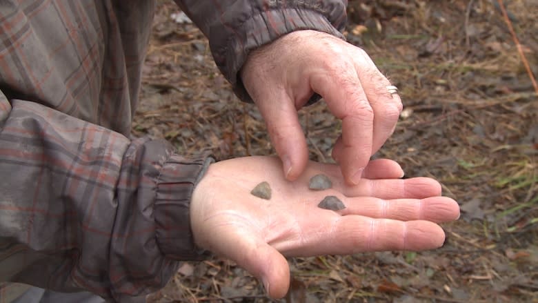 Archaeologists examine Indigenous site dating back 2,200 years on Exploits River