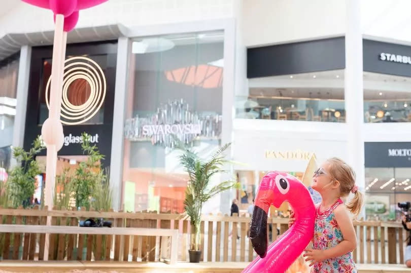 Flamingos have now returned to Silverburn