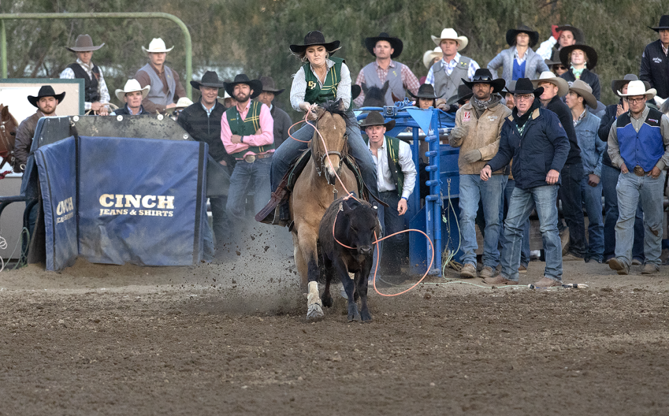 Cal Poly Rodeo Team member Samantha Massey competes in the breakaway competition at the Poly Royal Rodeo on Saturday, April 15, 2023, which she went on to win. The 81st annual Poly Royal Rodeo was held Friday and Saturday, April 14 and 15, 2023, at the Cotton Rosser Rodeo Complex in San Luis Obispo. Laura Dickinson/The Tribune