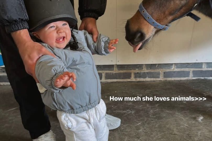 Molly-Mae Hague and Tommy Fury's daughter Bambi was delighted to meet a new horse friend
