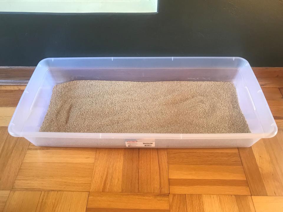 A clear Sterilite 41-quart Storage Box filled with tan color cat litter.