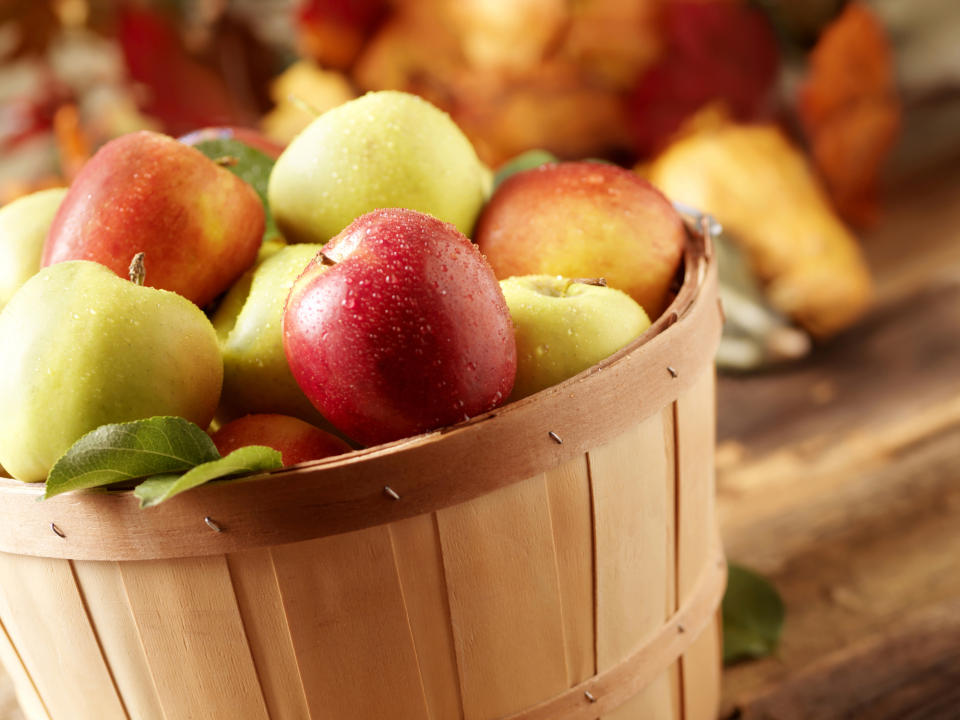 15 Most Popular Types of Apples and How to Use Them