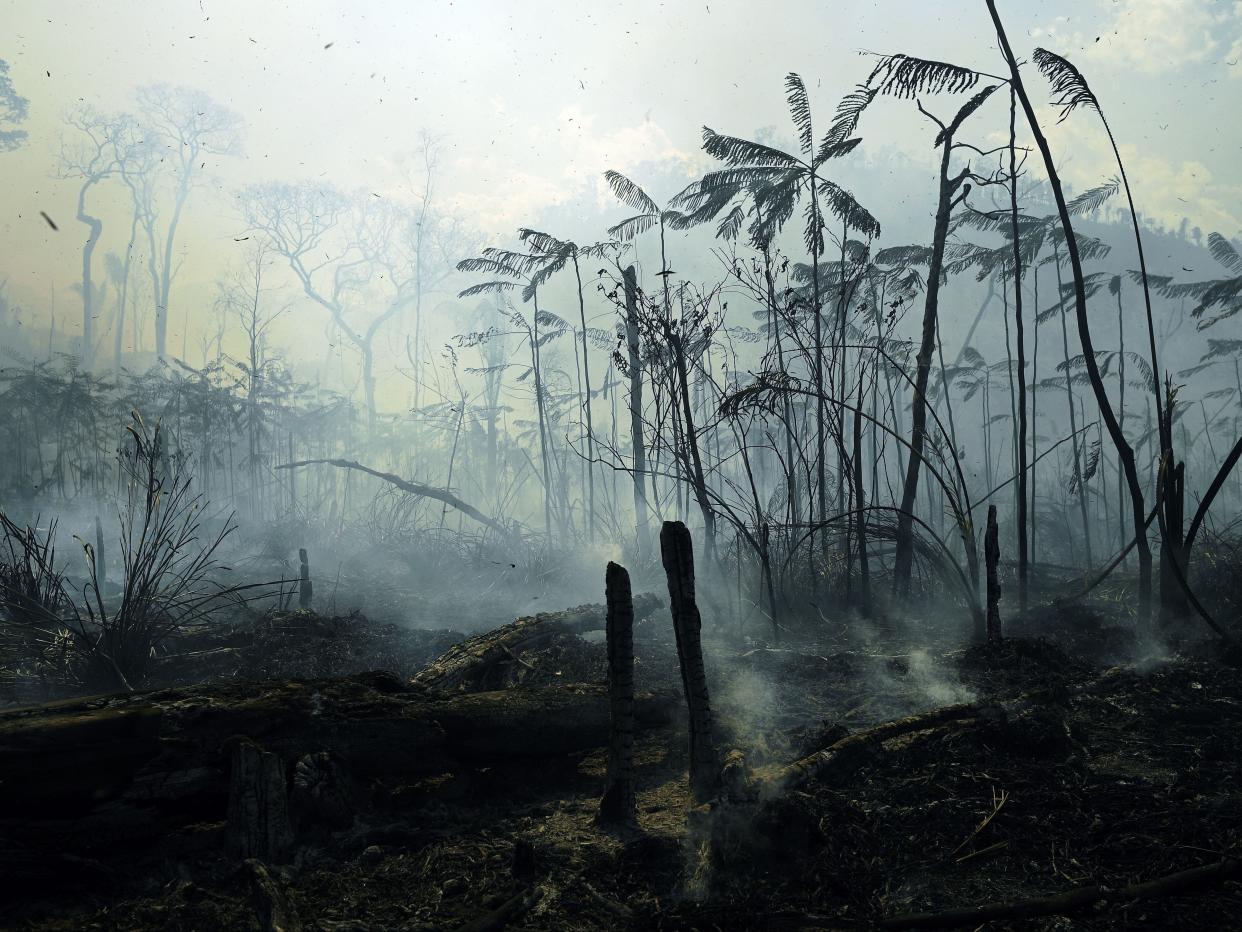 Fires burned areas of the Amazon rainforest last summer (AFP via Getty Images)