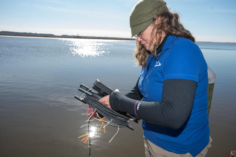 Beth Wasden, Volunteer Outreach Coordinator for the Nanticoke Watershed Alliance, checks a dissolved oxygen meter on the Nanticoke River in Vienna.