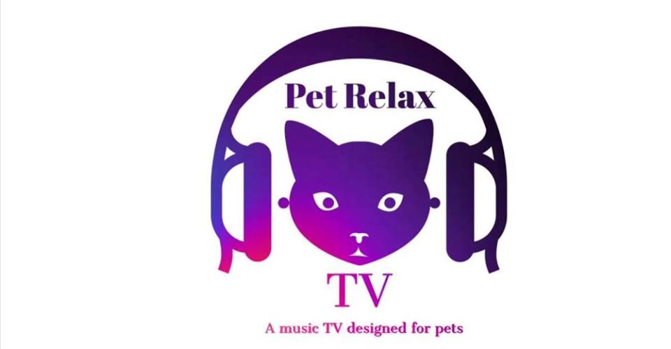 專為貓咪而設的本地音樂頻道 Pet Relax TV