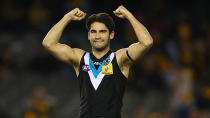 Finished sixth in the Coleman with 53 goals, Wingard was a bright spark in an otherwise disappointing year for Port.