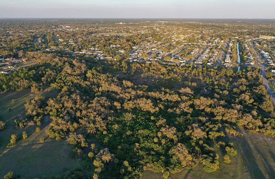 This portion of Warm Mineral Springs Parks is part of the 61.4 acres that the city wanted to see developed as part of a public-private partnership. The future of this land – once envisioned as a park – has sparked considerable comment from people who do not want to see it targeted for any commercial development.