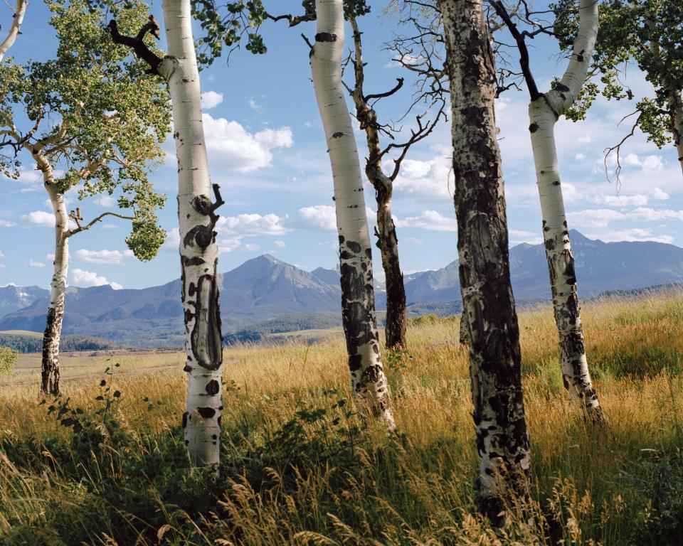 Summertime in Telluride.