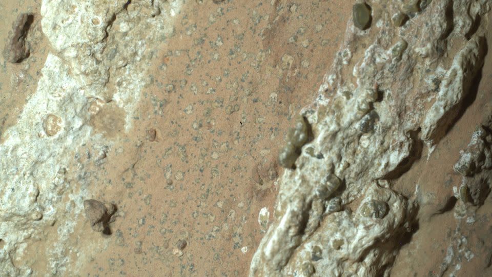 NASA’s Perseverance rover discovered “leopard spots” on a reddish rock nicknamed Cheyava Falls in Mars’ Jezero Crater on July 18. - NASA/JPL-Caltech/MSSS