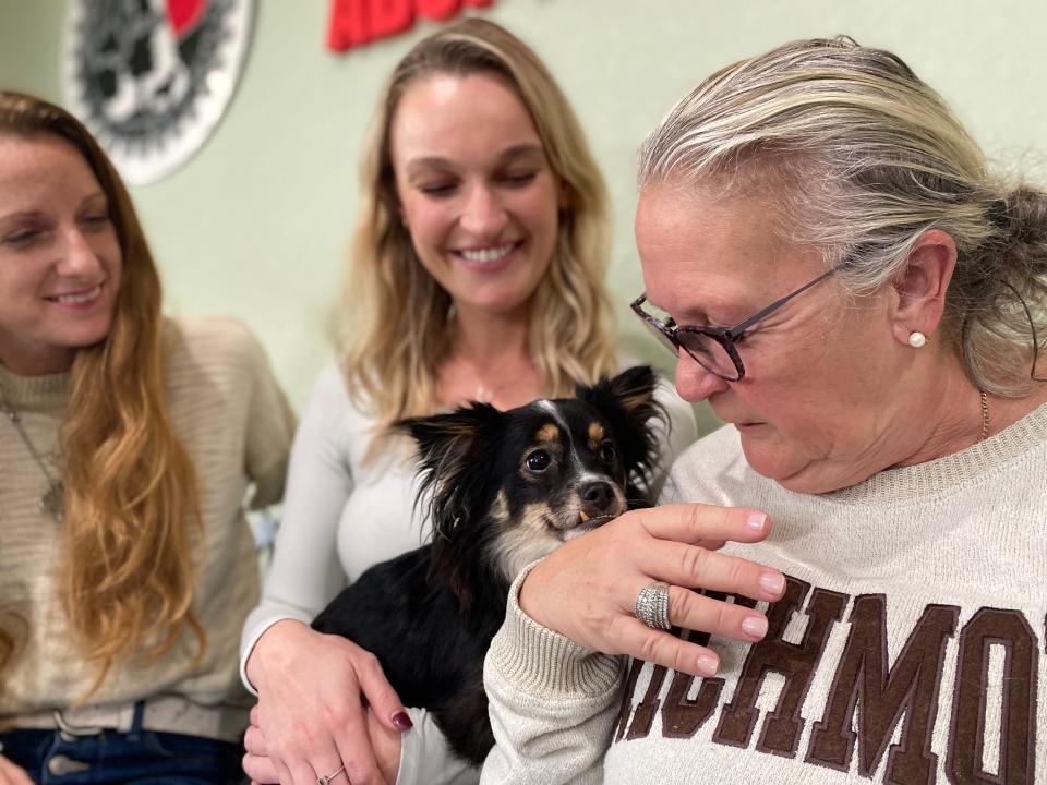 Mr. Bean, a papillon mix, was a stray born without fore legs who found his forever home in Wellington with Dasha Melgarejo and her mother Dorothy Melgarejo.
