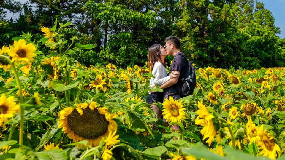 Budget-Friendly Date Ideas That’ll Impress