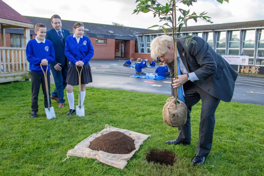 The PM planting a tree at a school in County Antrim last week (POOL/AFP/Getty)