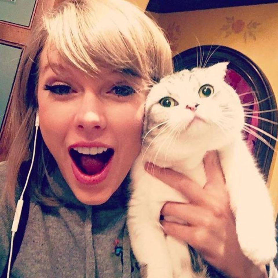 Taylor Swift with her cat Meredith (Taylor Swift )