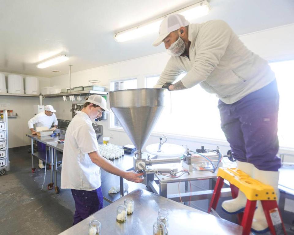 From the left, packaging Marinated Fromage Blanc are Arturo Ramirez, Greg DiSario and Christian LaPorta, at the family-owned Stepladder Ranch off of San Simeon Creek Road north of Cambria.