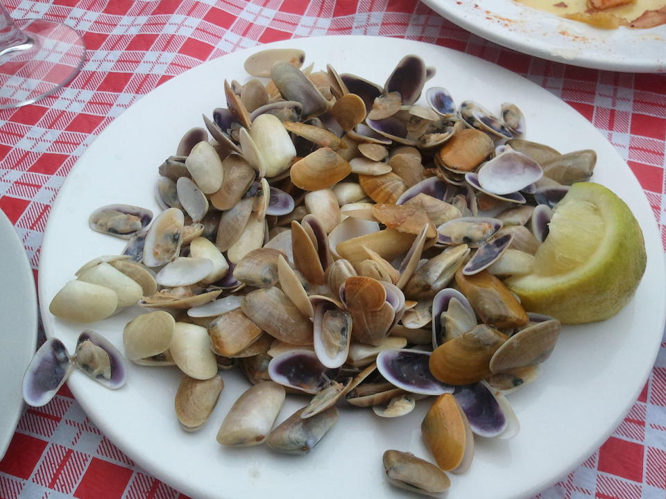 Las coquinas, pequeñas y sabrosas. Foto: Wikipedia/ Xemenendura (CC)