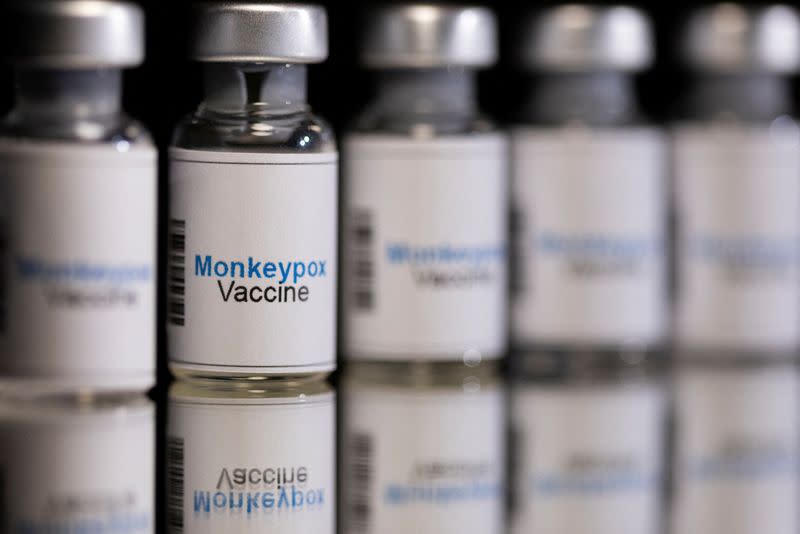 FILE PHOTO: Illustration shows mock-up vials labeled "Monkeypox vaccine"