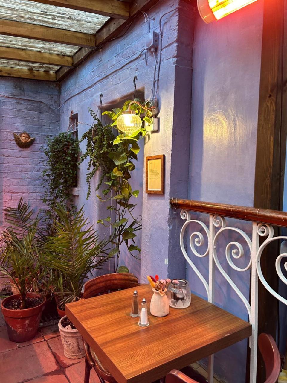 News Shopper: The Red Vine in Clapham is a cosy, dog-friendly restaurant.