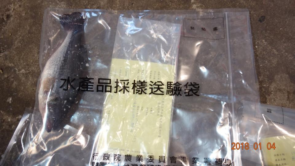 日本政府今日拍板福島核廢水將於2年後排入海中，對此農委會表示，不排除將加強水產品檢測（示意圖）。   圖：新北市政府提供