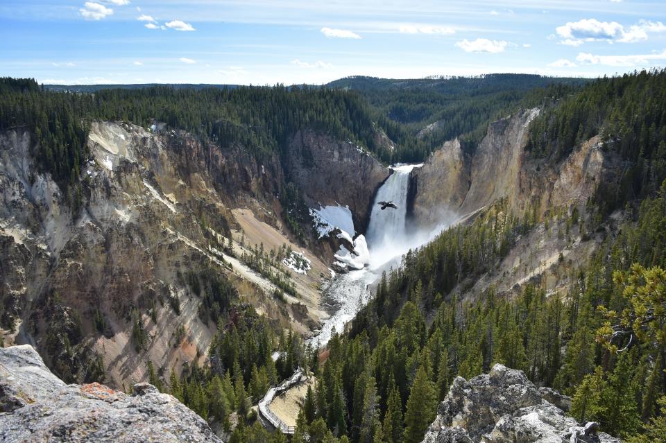 A view of the Lower Falls at the Grand Canyon of the Yellowstone National Park on May 11, 2016. Yellowstone, the first National Park in the US and widely held to be the first national park in the world, is known for its wildlife and its many geothermal features.
