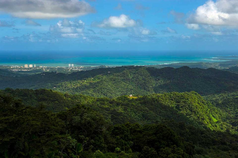Shown in the distance is the seaside town of Luquillo, seen from a lookout tower at the El Yunque National Forest on December 4, 2012 in Rio Grande, PR.
