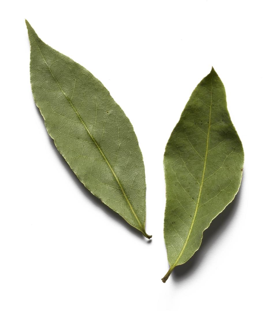 The herb that every recipe tells you to remove before serving. Take the hint, bay leaves!