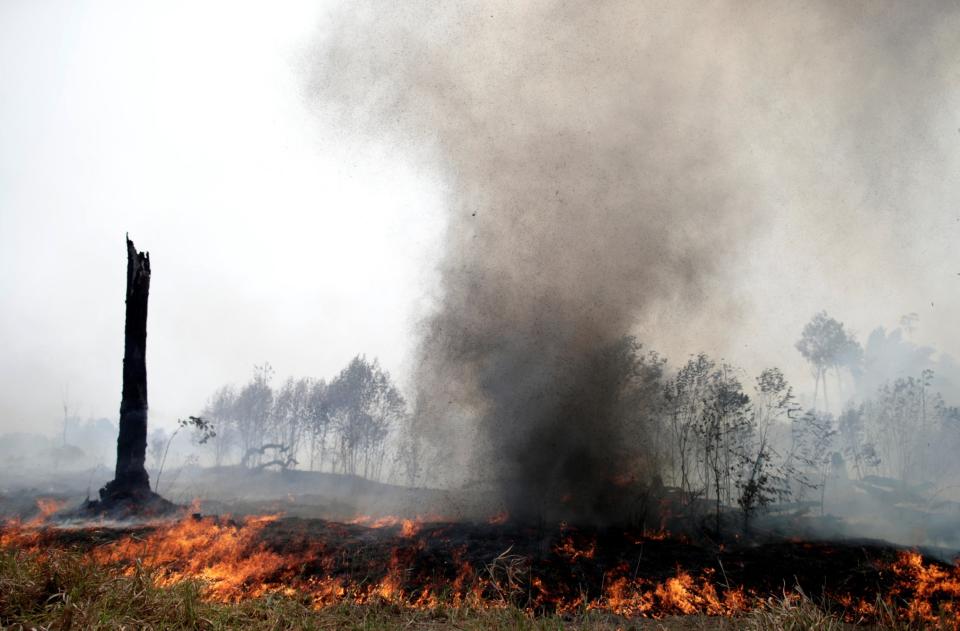 The Amazon has lost almost 10,000 sqkm to deforestation in 12 months (Reuters)