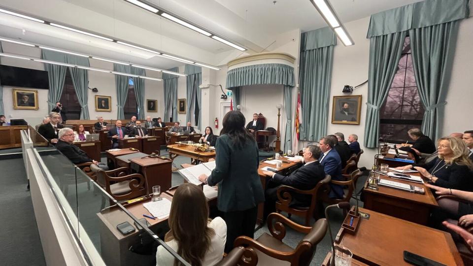 Another view of Jill Burridge delivering her budget speech in the P.E.I. legislature. 