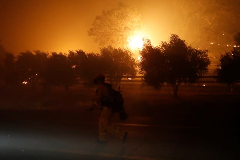 A firefighter walks by a burning tree along Red Winery Road during the Kincade fire in Geyserville, California