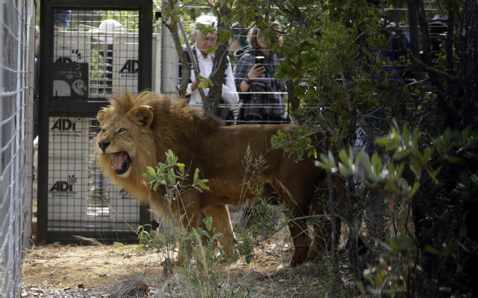 Released in enclosure