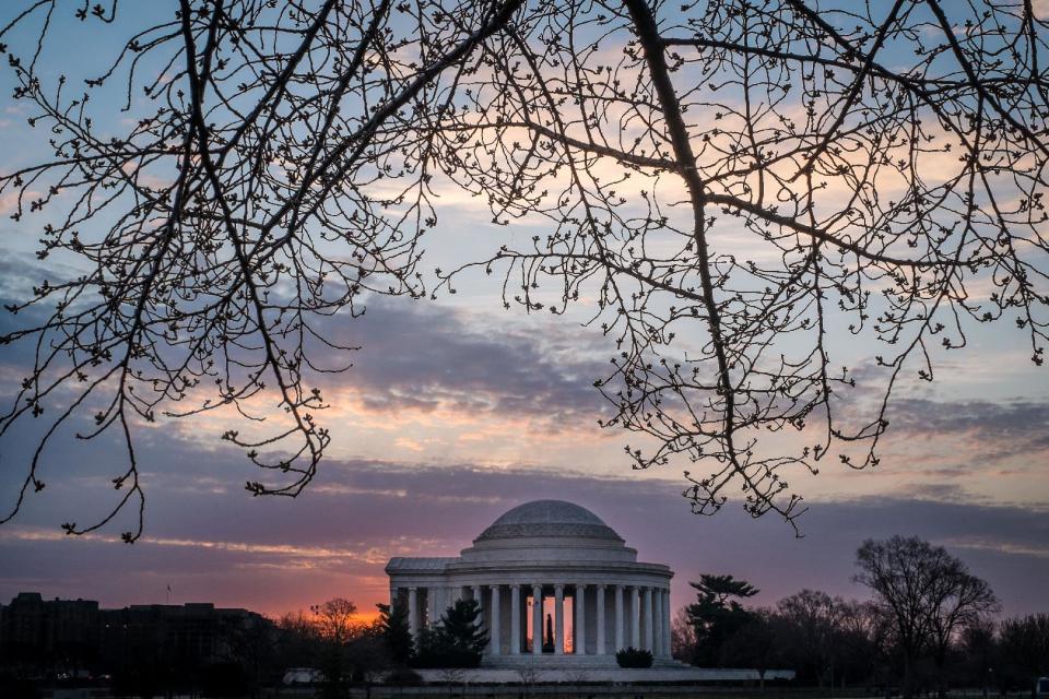 The buds on Cherry Blossoms trees frame the Jefferson Memorial across the Tidal Basin in Washington, seen against the early morning sky, Wednesday, April 2, 2014. The annual Cherry Blossom festival in the Nation's Capital ends April 13, 2014. (AP Photo/J. David Ake)