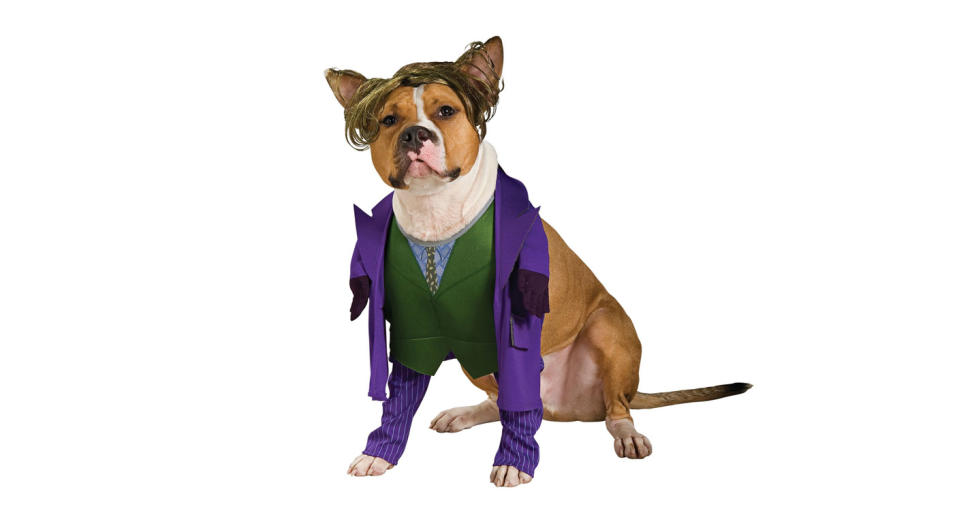Joker Dog Costume, $16.19, target.com (Photo: Target)