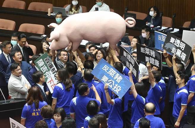 國民黨抗議美豬進口，立委要送大型豬模型給蘇貞昌被擋。（趙雙傑攝）