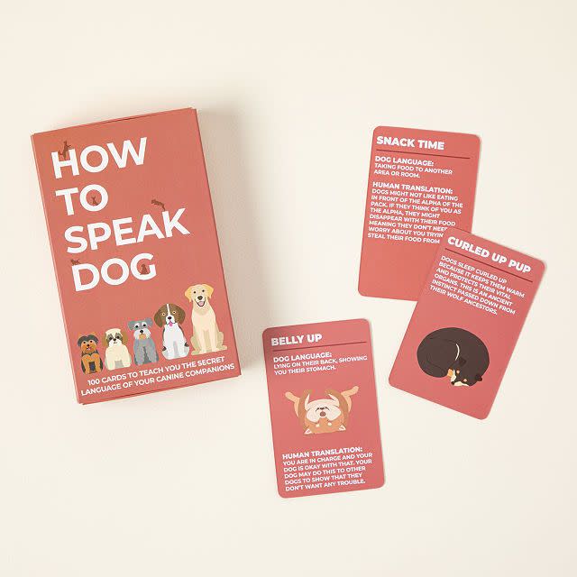 <p><a href="https://go.redirectingat.com?id=74968X1596630&url=https%3A%2F%2Fwww.uncommongoods.com%2Fproduct%2Fhow-to-speak-dog-cards&sref=https%3A%2F%2Fwww.countryliving.com%2Fshopping%2Fgifts%2Fg1478%2Fgifts-for-dog-lovers%2F" rel="nofollow noopener" target="_blank" data-ylk="slk:Shop Now;elm:context_link;itc:0;sec:content-canvas" class="link ">Shop Now</a></p><p>How To Speak Dog Cards</p><p>uncommongoods.com</p><p>$10.00</p><span class="copyright">Uncommon Goods</span>