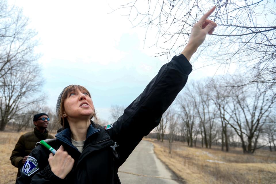 Becca Staszak, tour guide, points out a 'bulb' during the family hike Saturday, March 5, 2022, at Havenwoods State Forest Nature Center in Milwaukee.