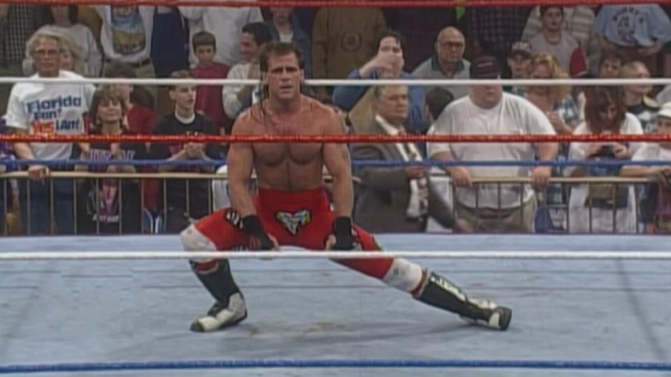 Shawn Michaels in WWE